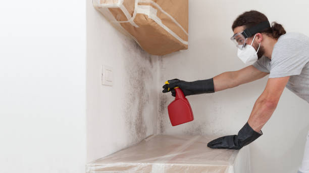 Professional Crawl Space Mold Removal technician working in Ebensburg, PA